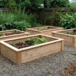 low raised garden box